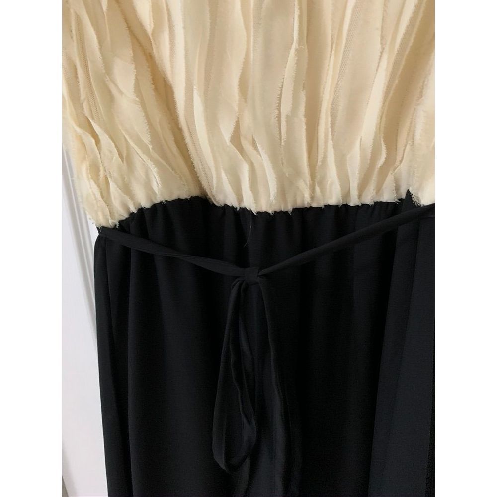 Charming Charlie Dress - Picture 4 of 5